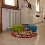 Serena Apartment